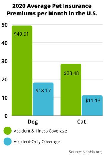 Do Dogs Or Cats Cost More to Insure