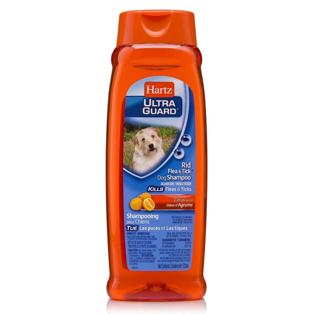 Does Regular Dog Shampoo Kill Fleas