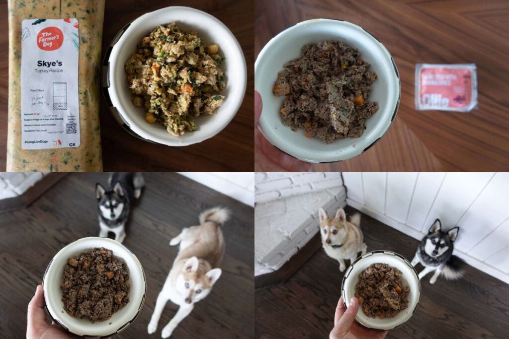 Does the Farmer'S Dog Have Cat Food
