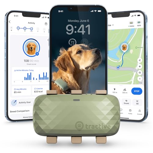 Dog Activity Tracker for Pets