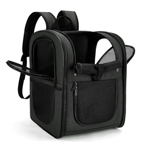 Dog Backpack for Hiking And Outdoor Fun
