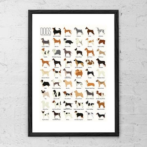 Dog Breeds a to Z
