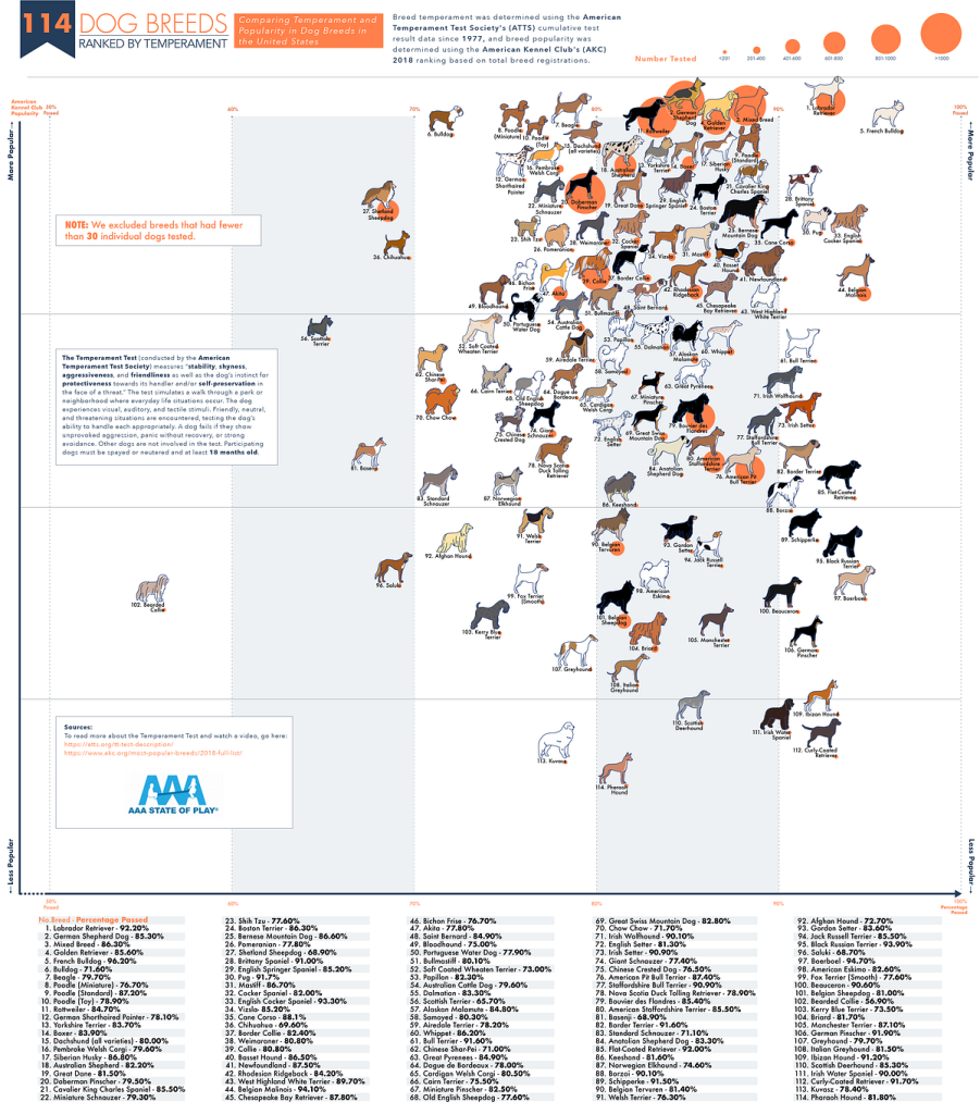 Dog Breeds And Temperaments