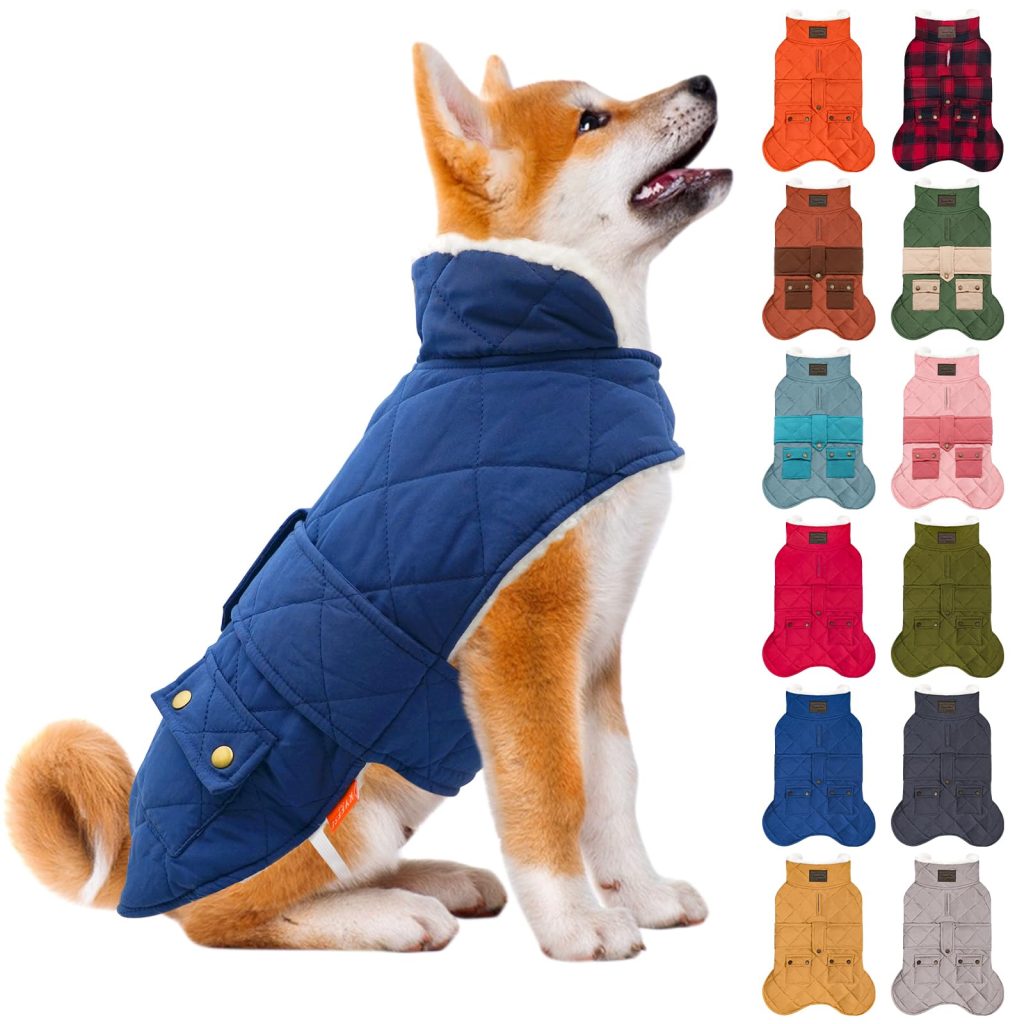 Dog Clothes Jacket
