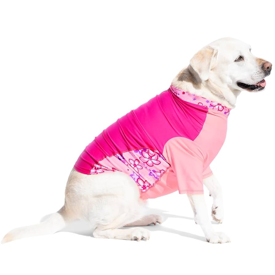 Dog Clothes Made in Usa