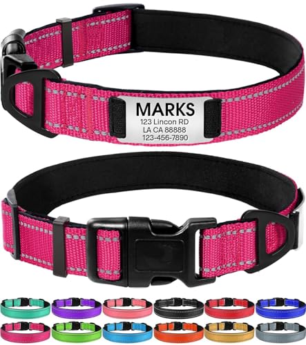 Dog Collar With Name Tag