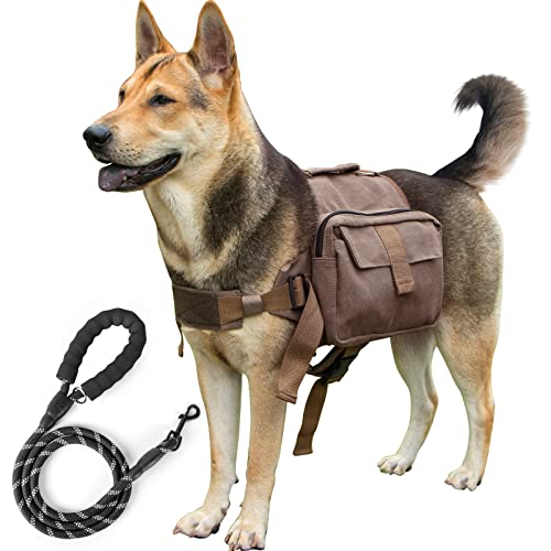Dog Harness for Hiking And Outdoor Fun