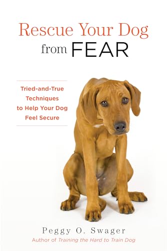 Dog Insurance for Rescue Dogs