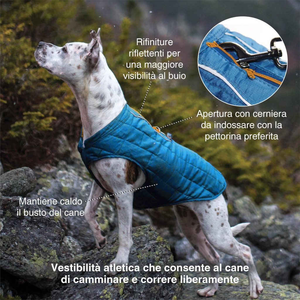 Dog Jacket