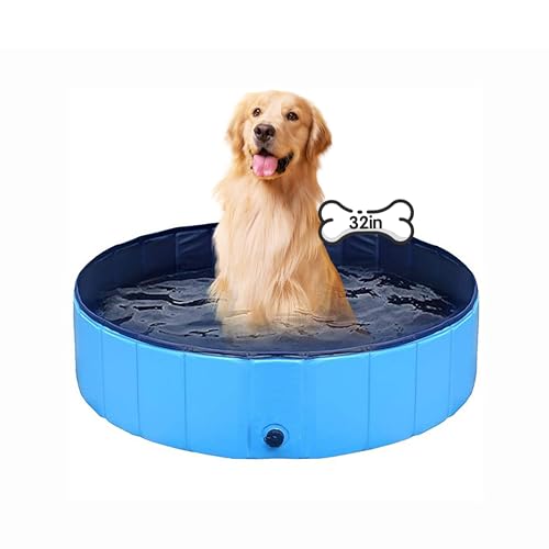 Dog Swimming Pool for Pets