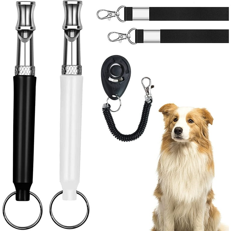 Dog Whistle to Make Dogs Come to You