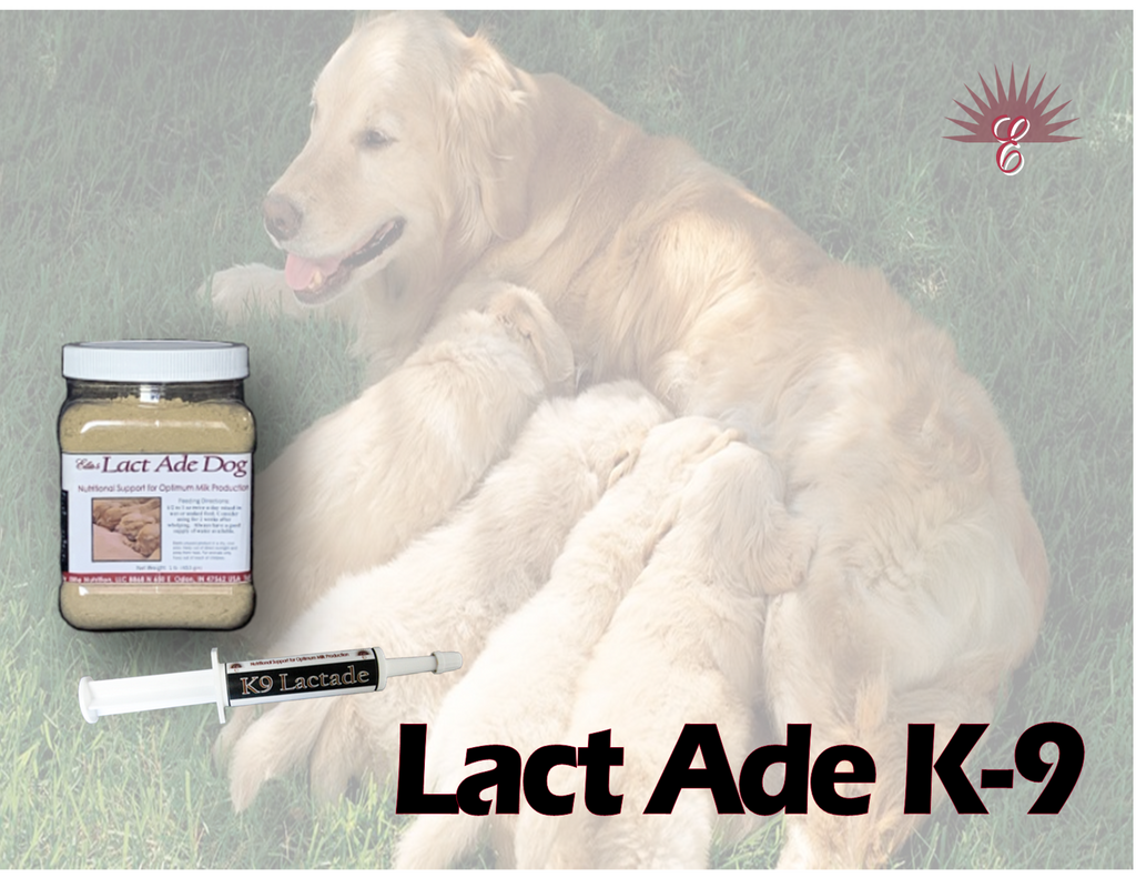 Elite Nutrition Essential Dog