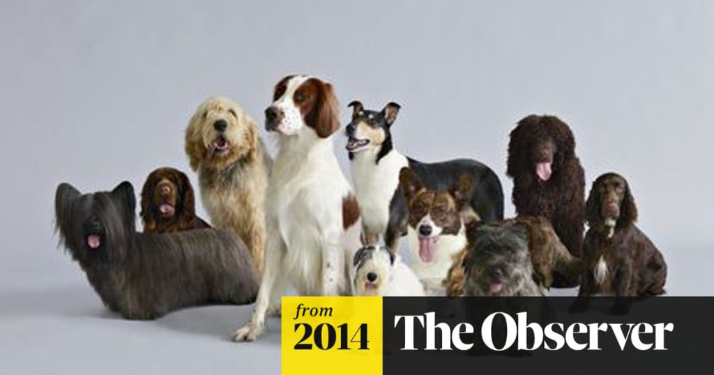 Endangered Dog Breeds