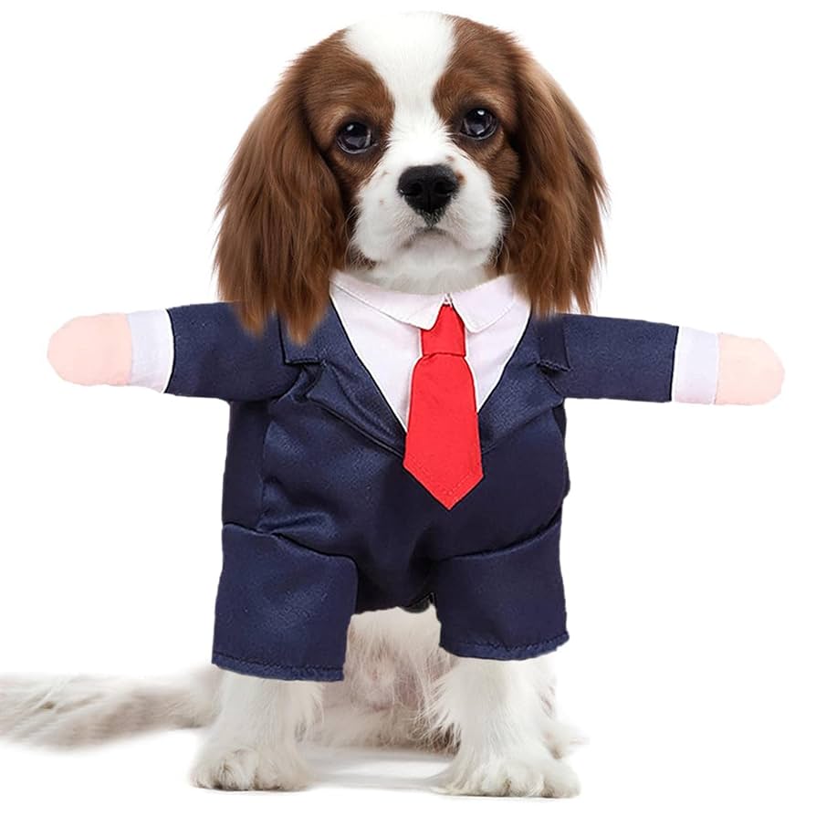 Formal Dog Clothes