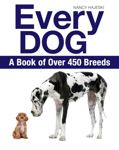 Good Travel Dog Breeds
