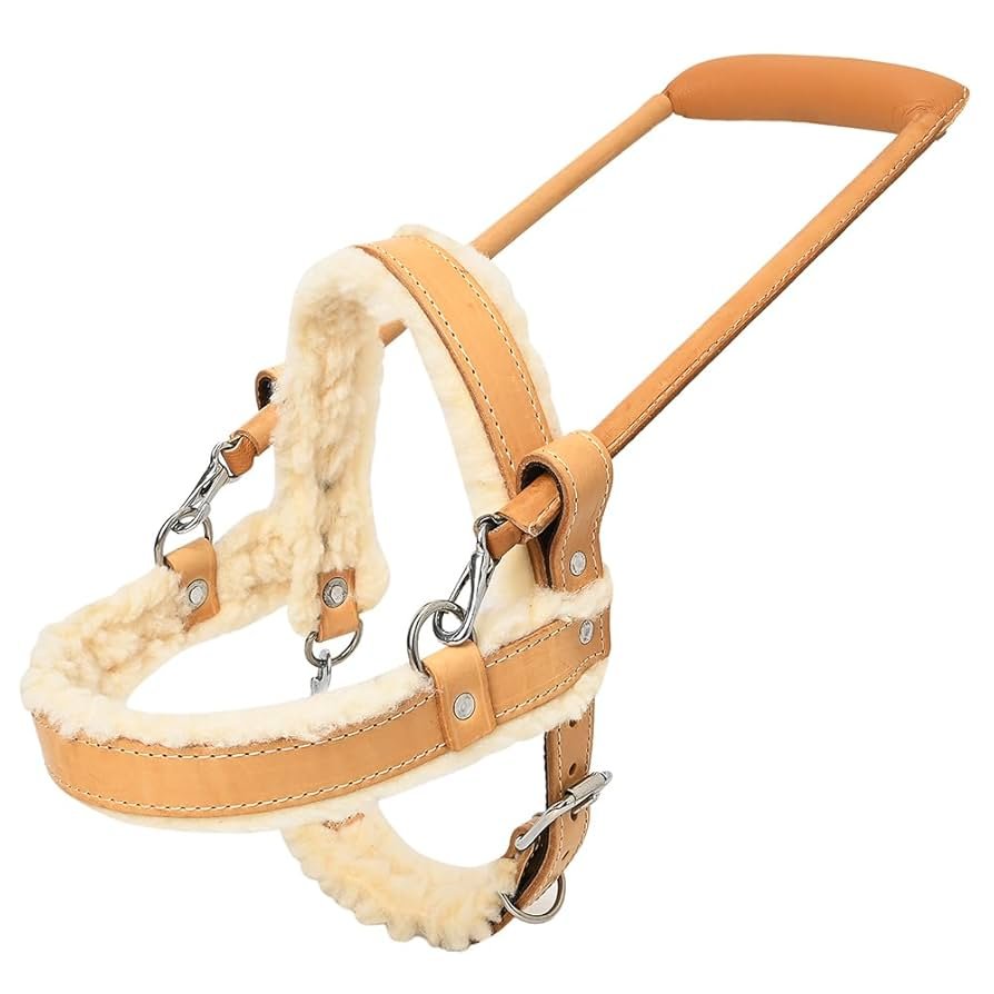 Guide Dog Harness With Handle