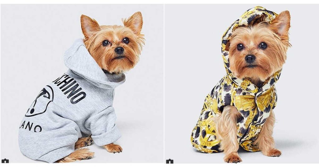H And M Dog Clothes