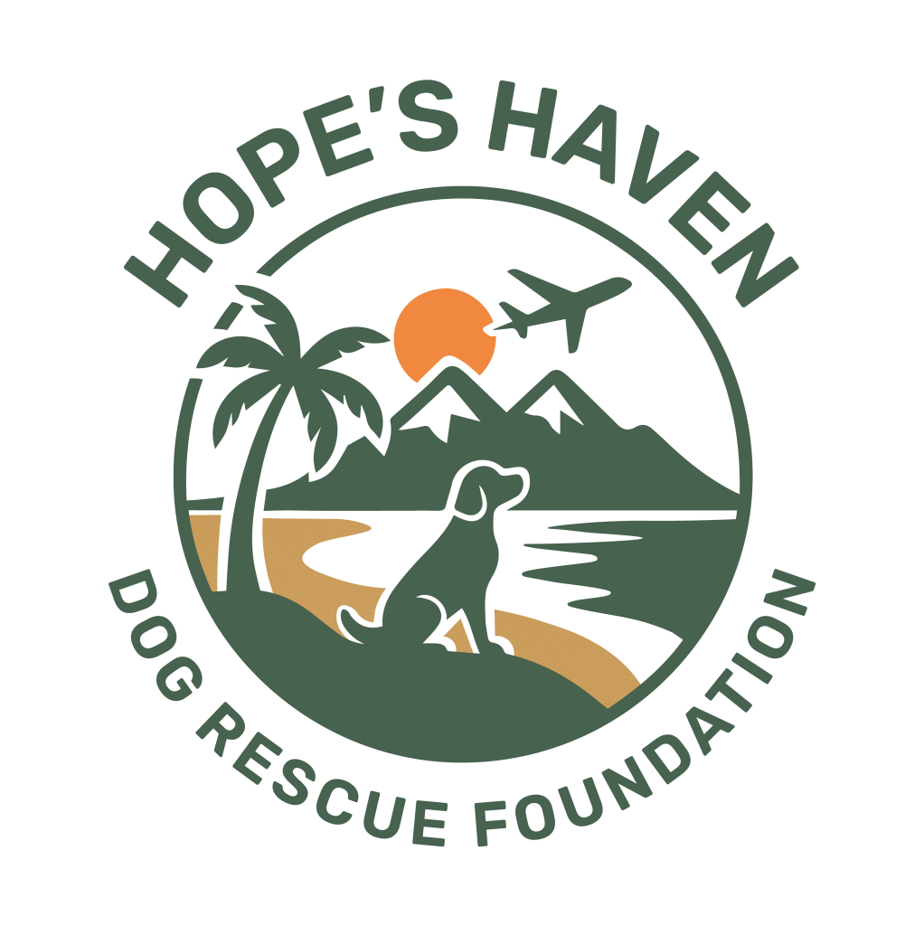 Hopes Haven Adoptable Dogs