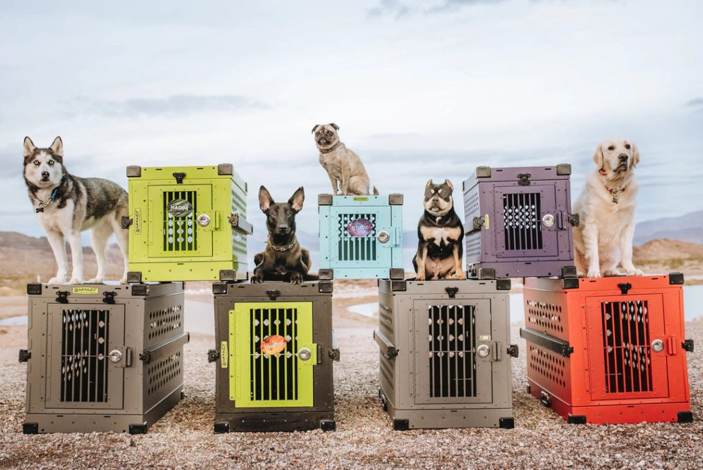 How Big Should a Dog'S Crate Be