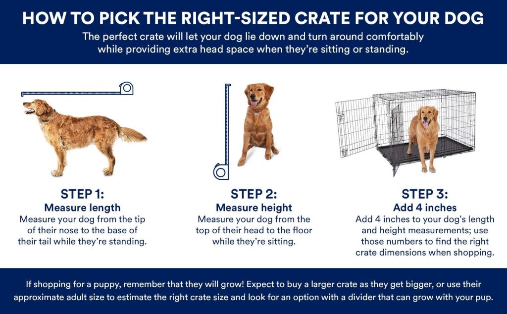 How Big Should My Dogs Crate Be