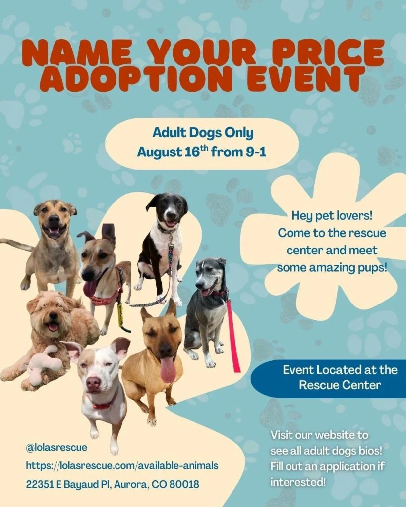 How Do I Adopt a Dog