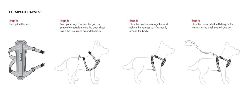 How Do I Put on a Dog Harness