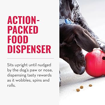 How Do You Use a Kong Dog Toy