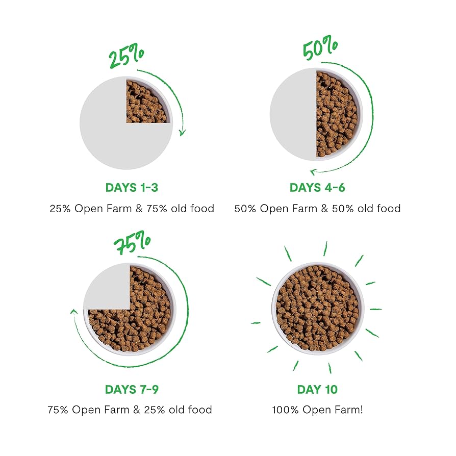 How Long Does Open Dog Food Last