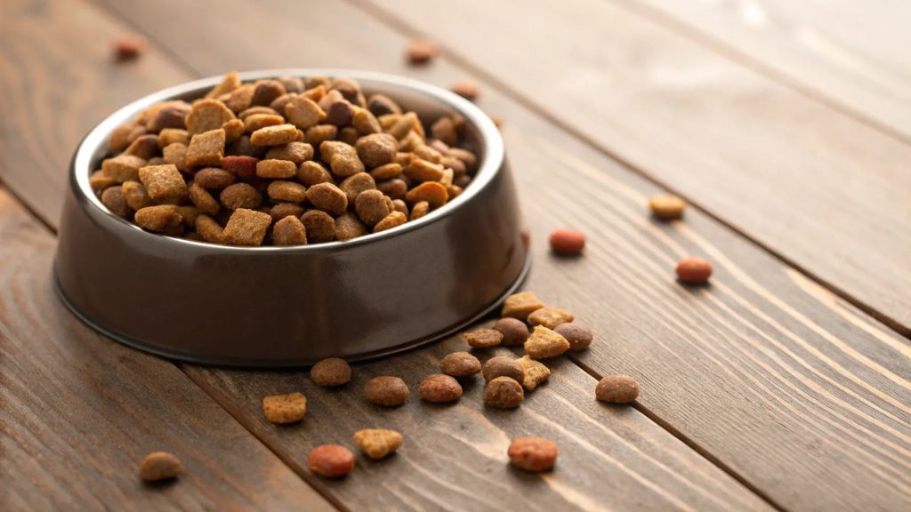 How Long is Dry Dog Food Good for