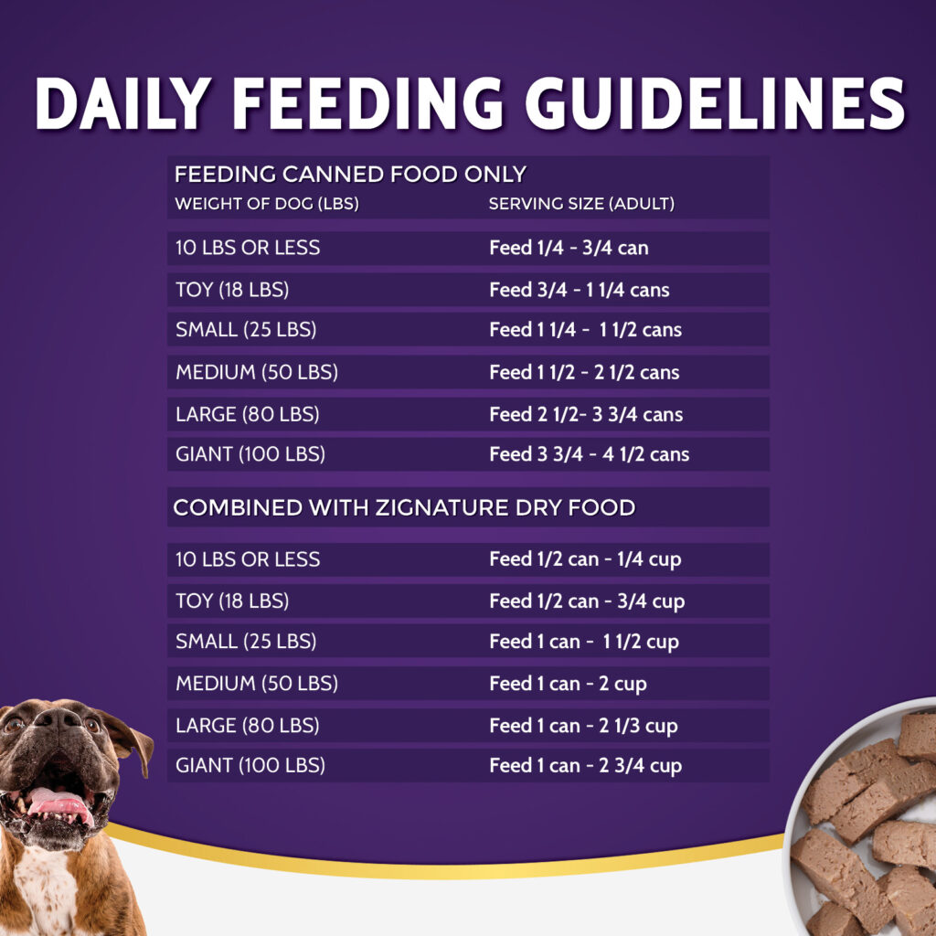 How Many Cans Dog Food Per Day