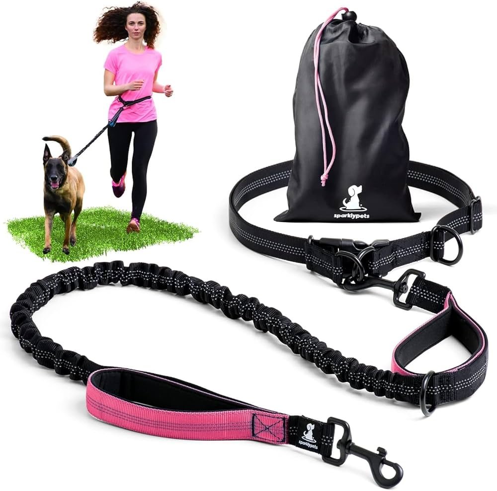 How Much Does a Dog Leash Cost