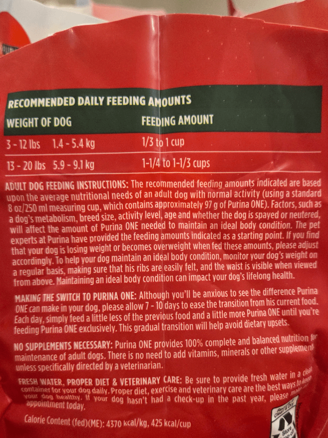 How Much Dog Food to Feed a Chihuahua
