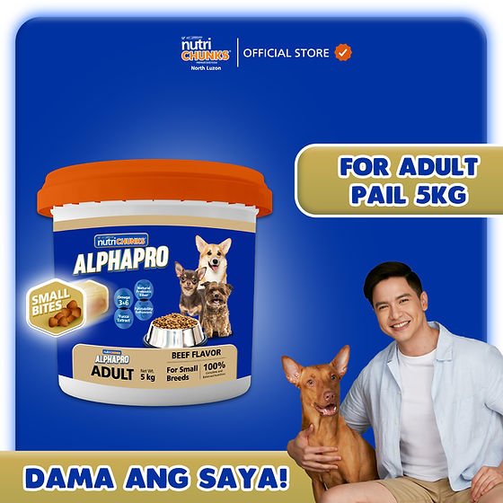 How Much is 5Kg in Dog Food