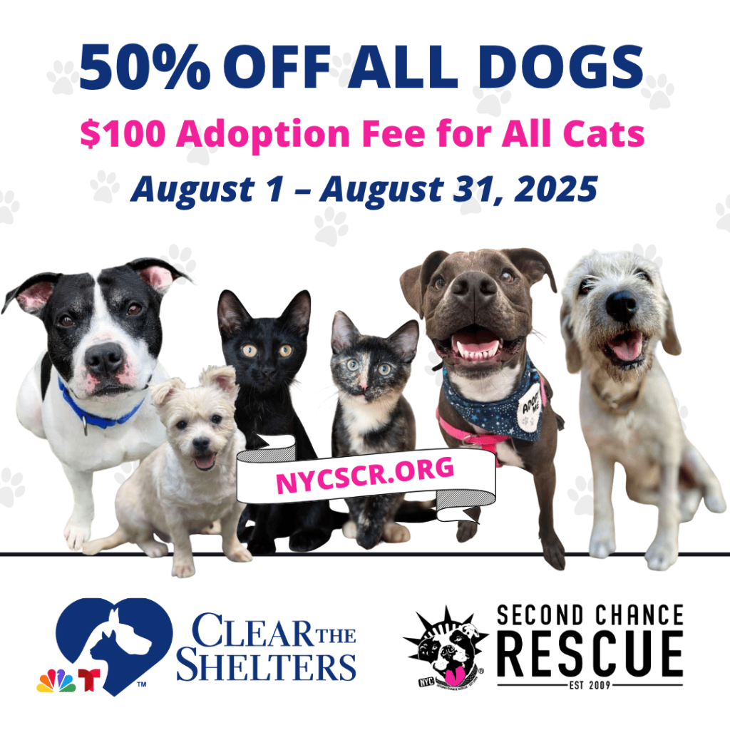 How Much is a Dog Adoption Fee