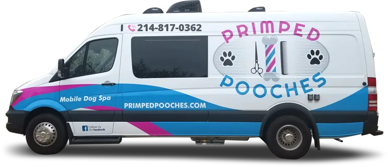 How Much is a Mobile Dog Groomer