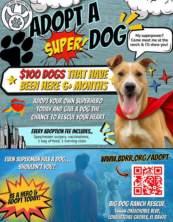How Much is Dog Adoption Fee