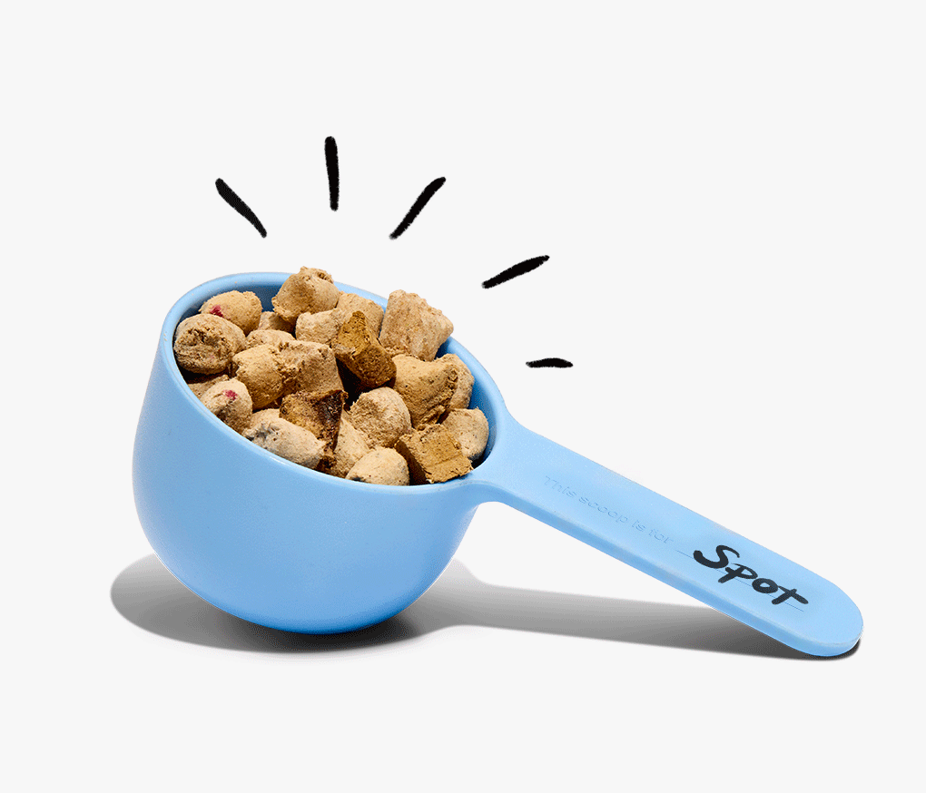 How Much is Unkibble Dog Food