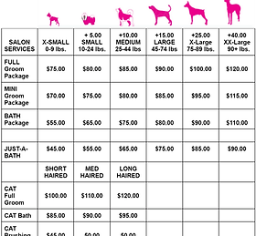 How Much to Groom a Dog
