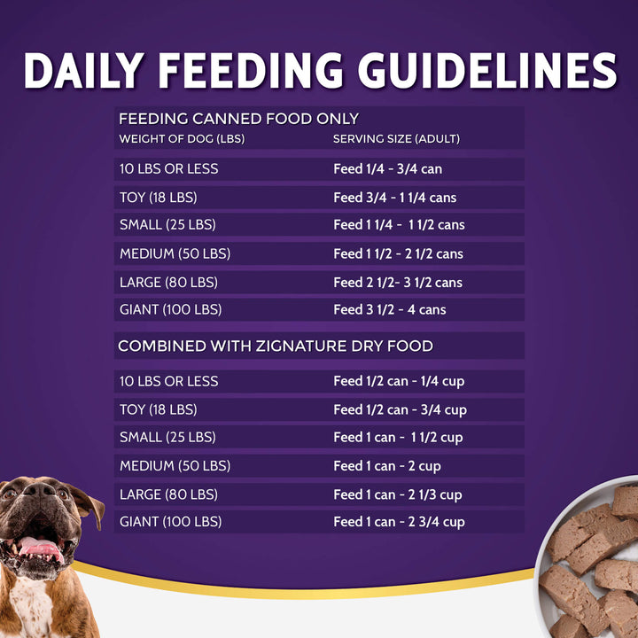 How Much Wet Food to Feed Dog