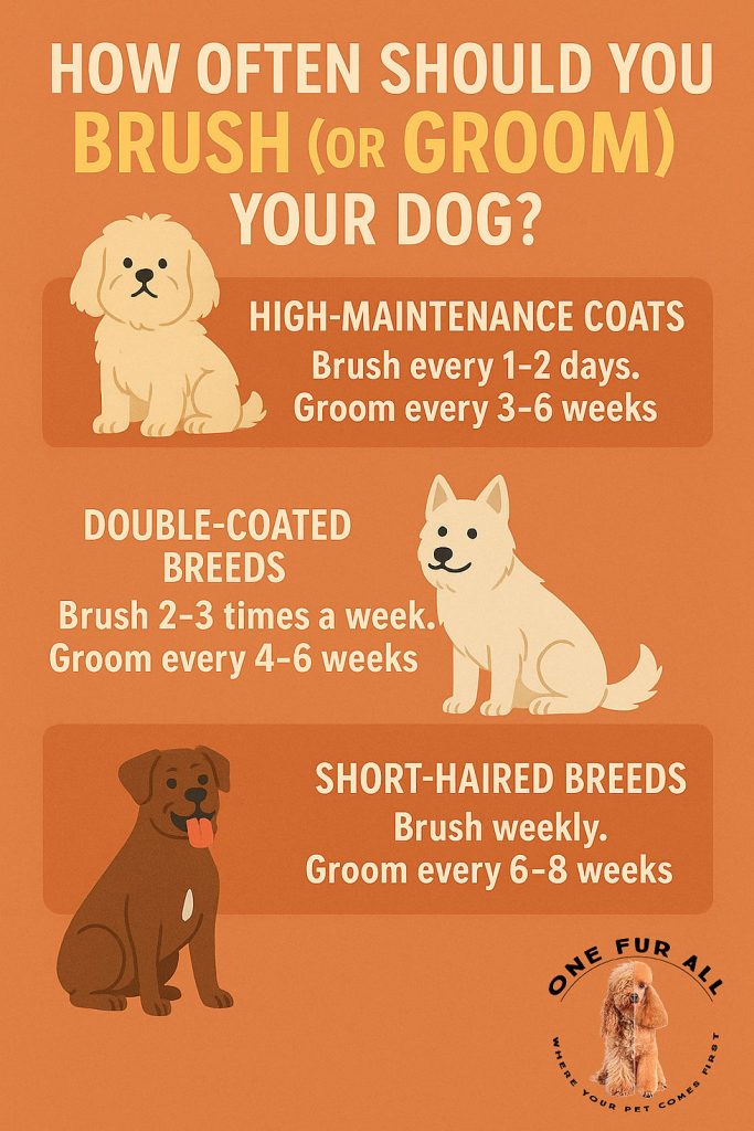 How Often Should I Groom My Dog