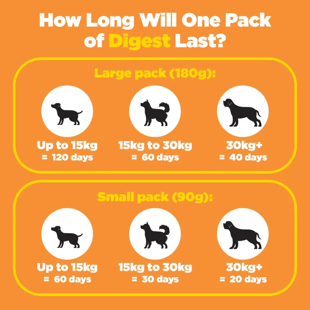 How Quickly Do Dogs Digest Food