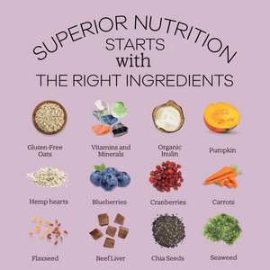 How to Add Calories to Dog Food