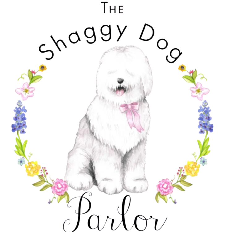 How to Become a Dog Groomer in Texas