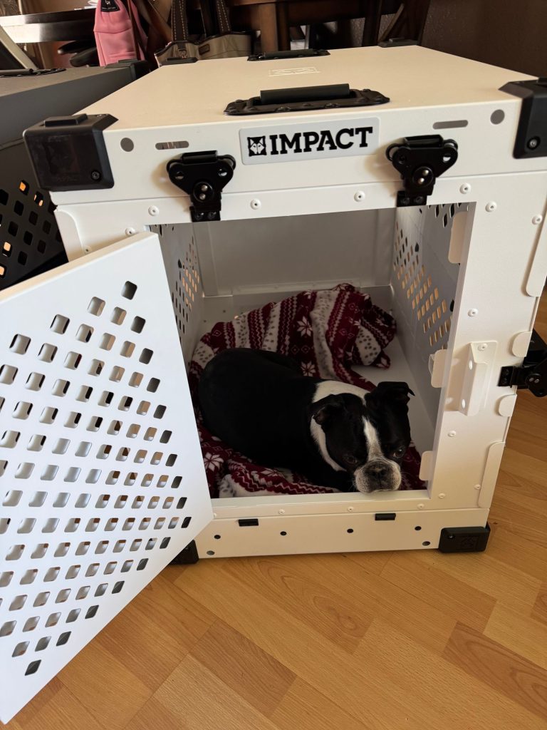 How to Collapse a Dog Crate