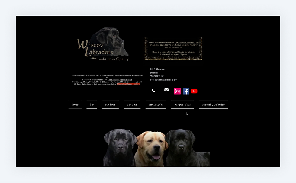 How to Create a Dog Breeding Website