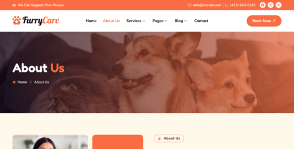 How to Create a Dog Walking Booking Website