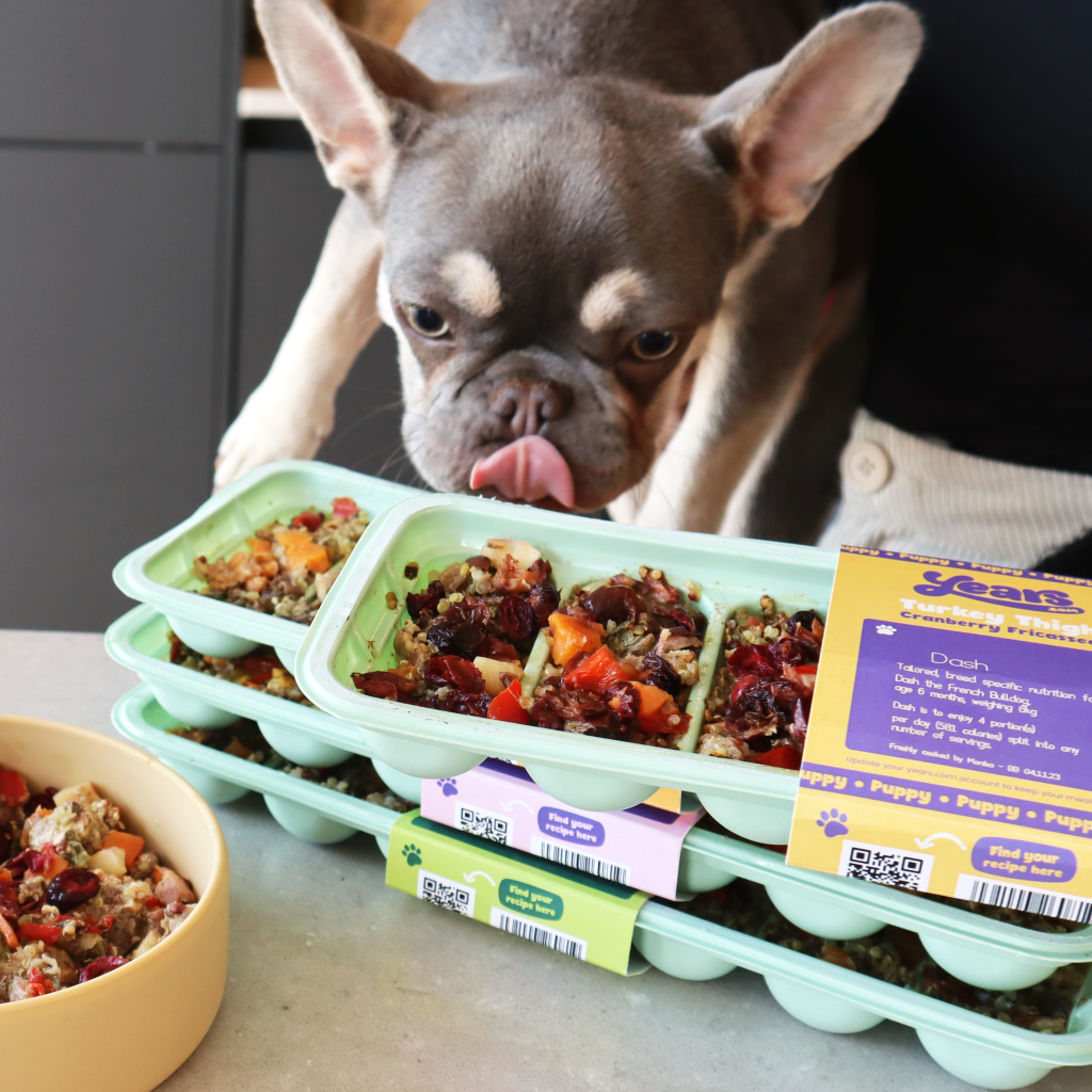 How to Find Dog Food Without Certain Ingredients