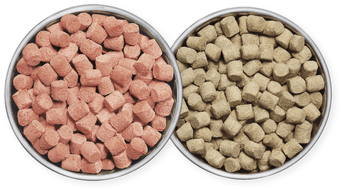 How to Freeze Dry Dog Food
