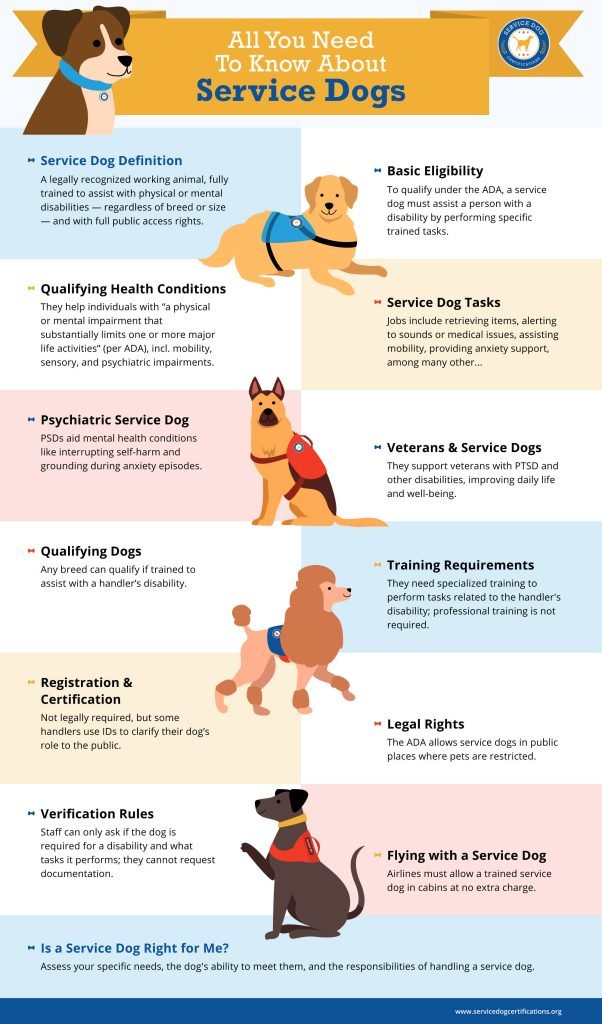 How to Get Dog Trained As Service Dog