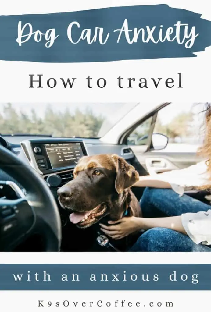 How to Help a Dog With Car Anxiety